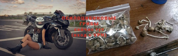 дистиллят марихуана Магас