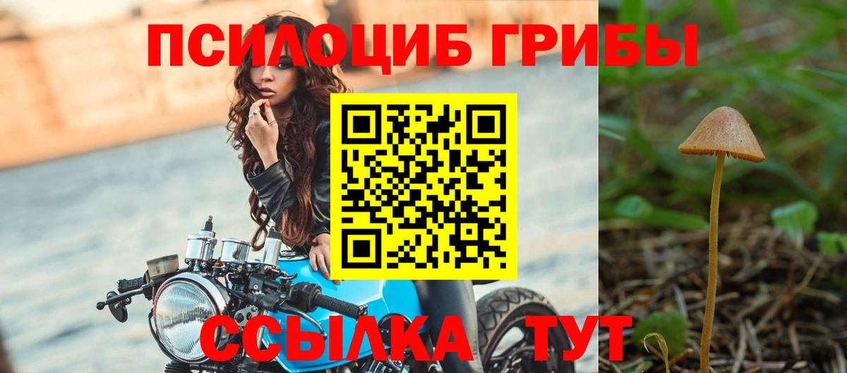 Псилоцибиновые грибы мухоморы  Ноябрьск 
