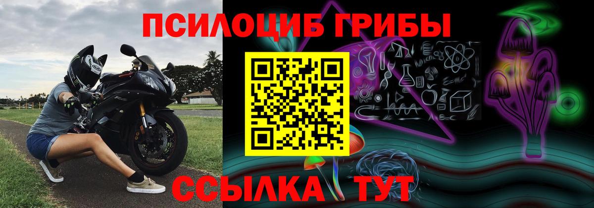 Ноябрьск  Галлюциногенные грибы GOLDEN TEACHER  Вход с VPN 