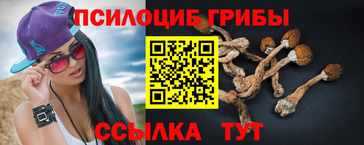 Псилоцибиновые грибы Cubensis Ноябрьск